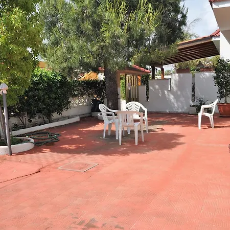 Ficus