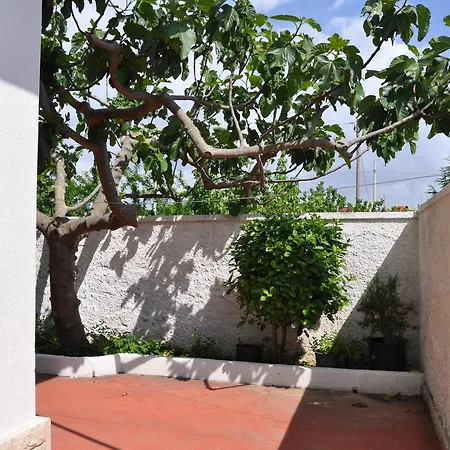 דירה Ficus