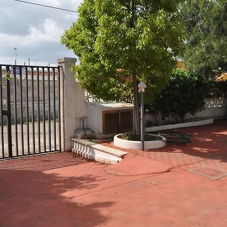 Ficus